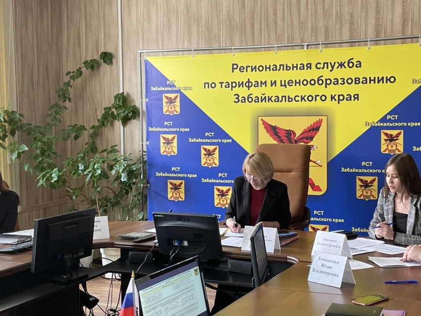 В Региональной службе по тарифам и ценообразованию Забайкальского края состоялось заседание рабочей группы